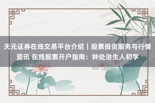 天元证券在线交易平台介绍｜股票投资服务与行情资讯 在线股票开户指南：钟处治生人初学