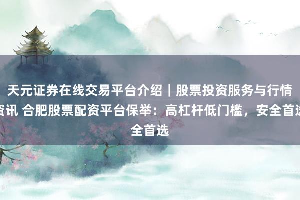 天元证券在线交易平台介绍｜股票投资服务与行情资讯 合肥股票配资平台保举：高杠杆低门槛，安全首选