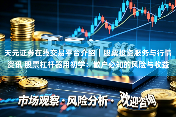 天元证券在线交易平台介绍｜股票投资服务与行情资讯 股票杠杆器用初学：散户必知的风险与收益